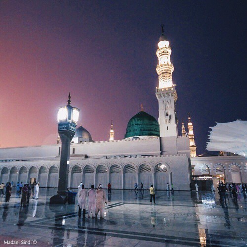 هيْمَانَ تضرعُ للسماء دموعه في تِيْهِ مشتاق و وَجْدِ مُتَيَّم | الشيخ سيد النقشبندي