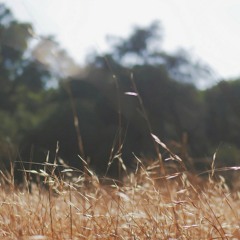 For You - Minhmeo