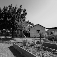 PTS01 Podcast - Richard Galluzzi