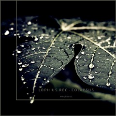 Lophius Rec - Colapsus [WHLTD053]