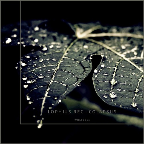 Lophius Rec - Colapsus [WHLTD053]