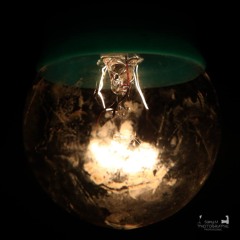 l'incendie du temps!!