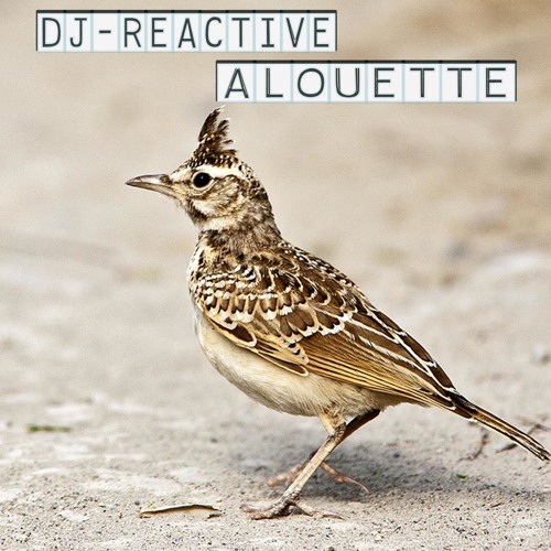 Dj Reactive - Alouette (Original Mix)