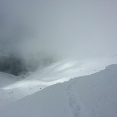 black frost