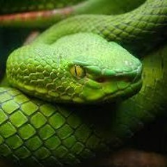 Actions have Reactions