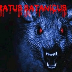 Cabidela - Ratos Satanicus