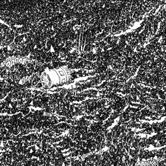 POCIESZENIA/Hypnagogic polish music for teenage mutants(Recognition SP-01)