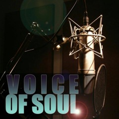 Spice Girl - Viva Forever (VoS Cover)