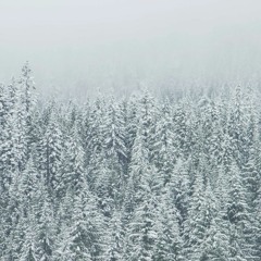Soundbrey - Lofi Winter
