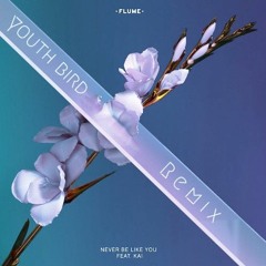 Flume - Never Be Like You (feat. Kai) [Youth bird Bootleg]