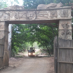 Deep in the Jungle '94