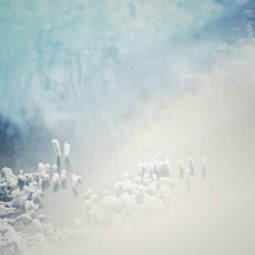 Purl - Sagan (Warmth's Place Of Peace)