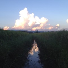 ขวัญข้าว Dheva of Rice