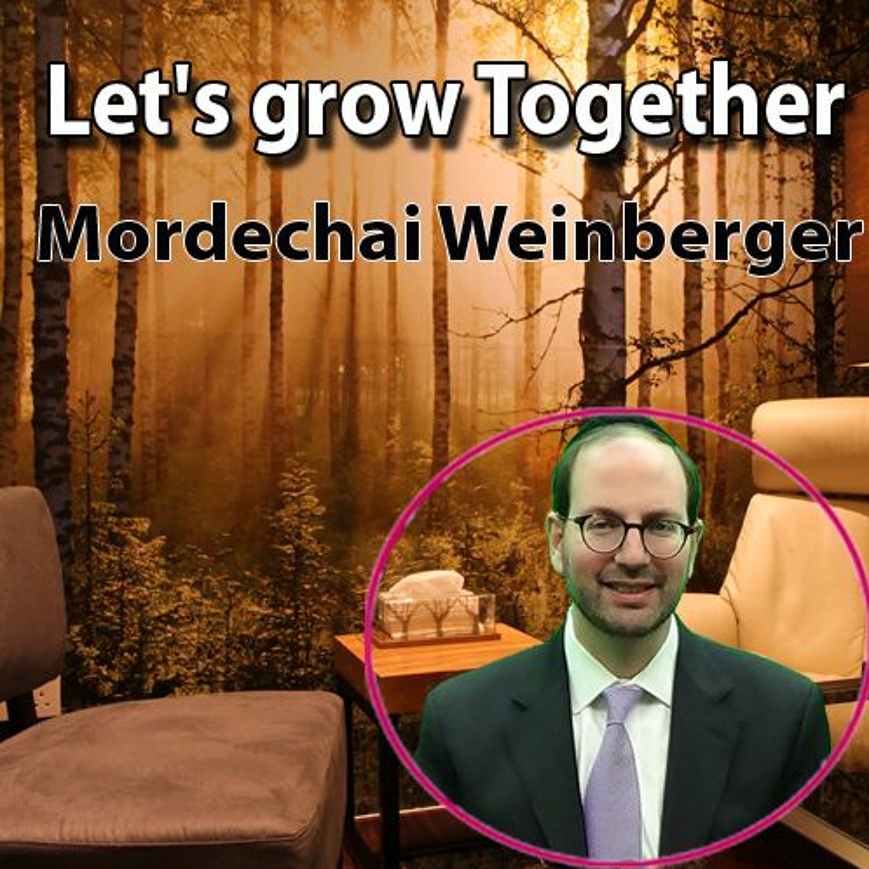 Mordechai Winberger Dec 26 episode artwork
