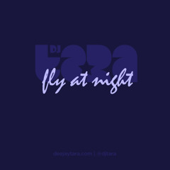 Fly at Night