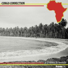 L'Avenir - Congo Connection