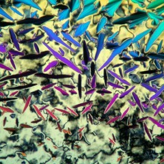 smoke goes up ashes comes down