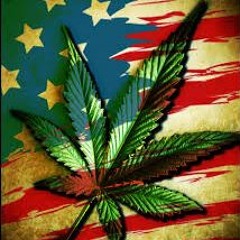 Blue Sky Day - FINCHY