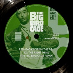 REDHEAD KINGPIN & THE FBI - DO THE RIGHT THING (THE BIG BIRD CAGE REMIX)**FREE DOWNLOAD**