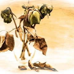 Dead Next Door "You Better Love Me"