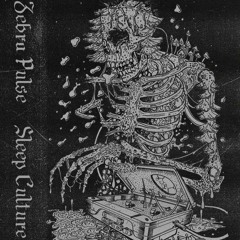 Zebra Pulse - Microwave Meditations