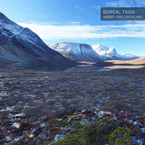 Kobbefjord Greenland