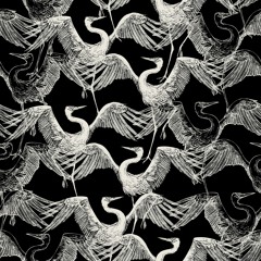Birds of Mind - Ankara (NU Remix)