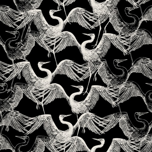 Birds of Mind - Ankara (NU Remix)