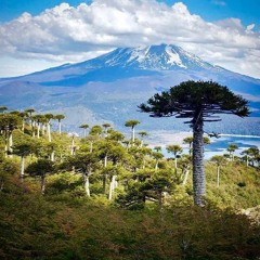 PRINCESA DE ESTA TIERRA(OSKR-T-SISTA K-T-JAAS NEWEN)2006