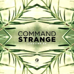 Command Strange & Alibi - Skyline [V Recordings]