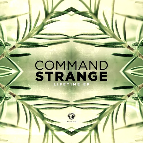 Command Strange & Alibi - Skyline [V Recordings]