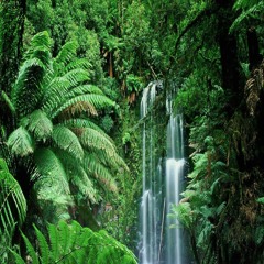 Beet98 - Jungle (Party Mix) ( Prod.By @DJDNICEE & @DJMERKS 973 )