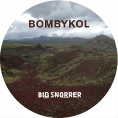 Big Snorrer (Orginal Mix)