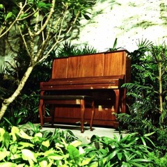 La Danza de la Tanga - Piano Negro