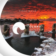 Clarv - Starry Christmas Night