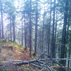 So Low In Hudi Kot 47 (11/16)