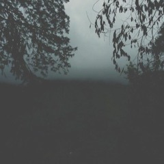 The Morning Fog