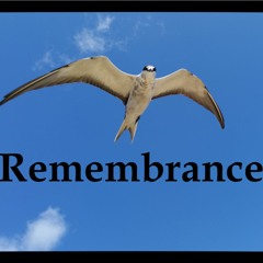 Remembrance – Albion V Tundra Demonstration