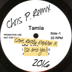 Cant Really Explain It (So Into You Chris P Remix)
