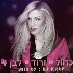 דיג'יי קיטי - כחול (ורוד) לבן 4 : היפהופ ישראלי