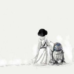 Star Wars - Little Lost Princess (Leia's Theme for acoustic guitar)