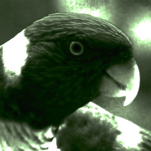 Stream ZEROLUT Electric Zoo by ZEROLUT Listen online for free on