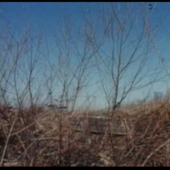 the crawling night fright thing