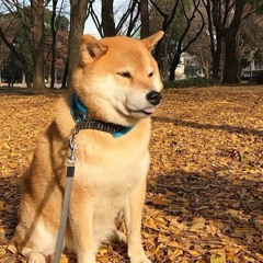 2013 Summer Mini-Mix #2