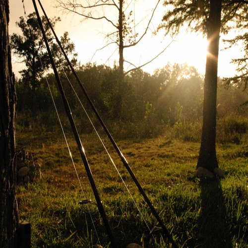 Another Line - Will Evans