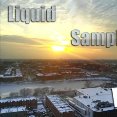 [2014] Liquid Samples Vol. 6 (BeatTape DemoFade)