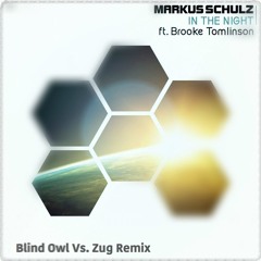 Markus Schulz- In The Night (Blind Owl Vs. Zug Remix)