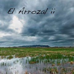 El Arrozal ii - Late 80' Mix