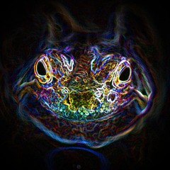 Electric Frog