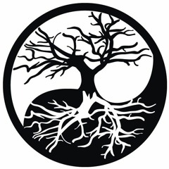 Camp Comfort / Indian Summer Sessions